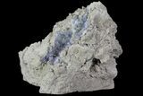 Purple/Gray Fluorite Cluster - Marblehead Quarry Ohio #81186-2